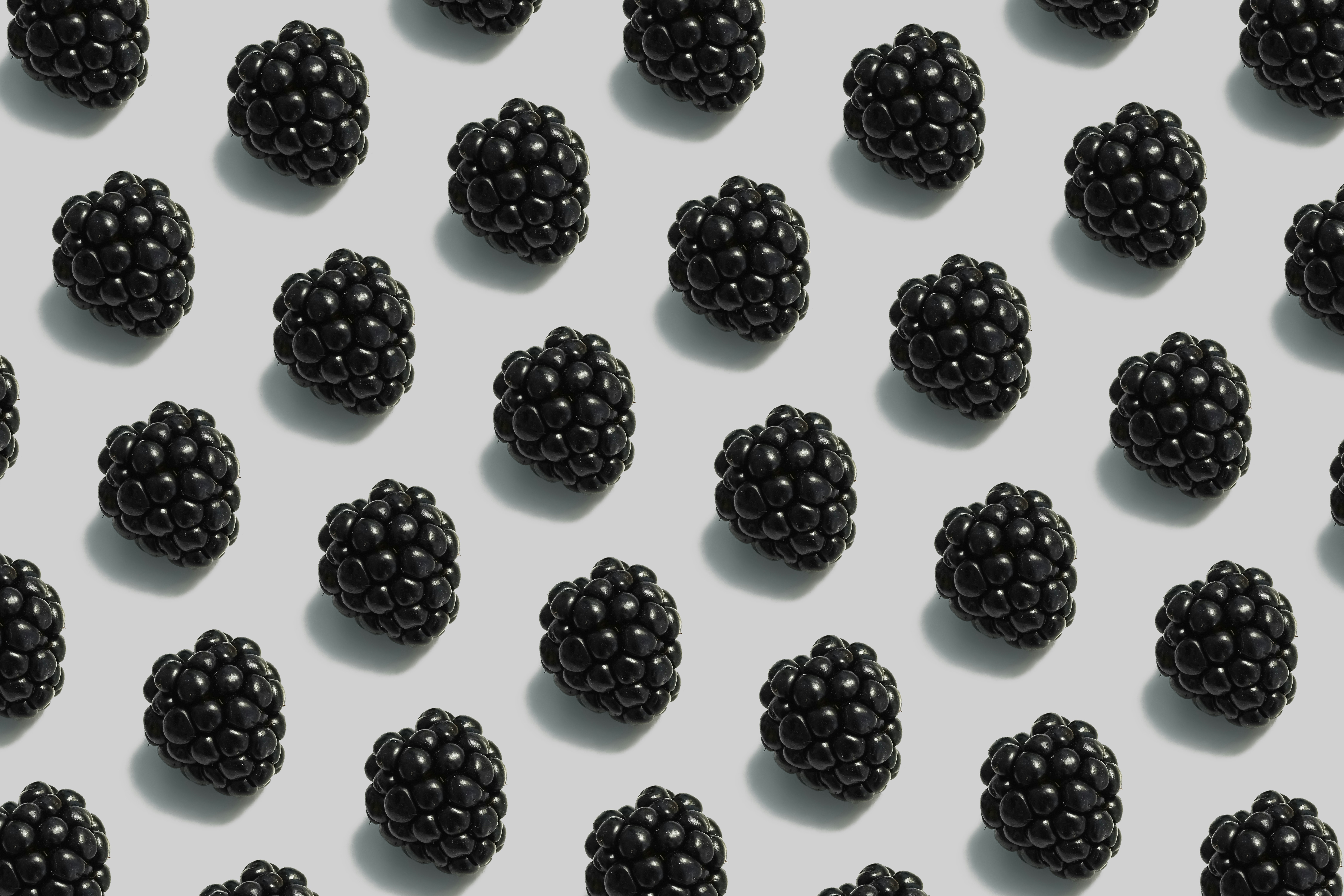 black berries on white background